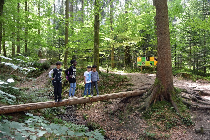 Kinder verschiedener Nationalitäten verstehen sich